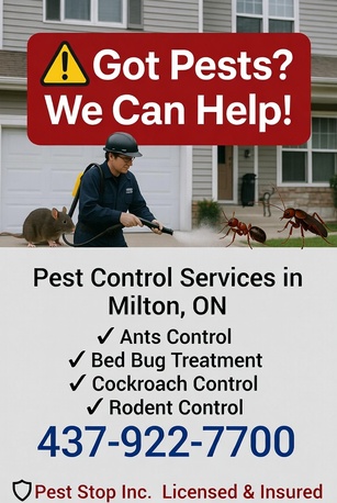 Hamilton-Burlington, Pest Control, Raccoon Problems In Milton & Halton?