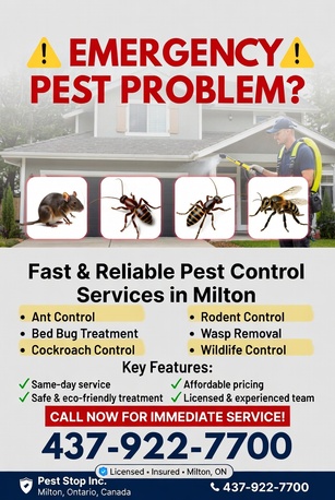 Hamilton-Burlington, Pest Control, Raccoon Problems In Milton & Halton?