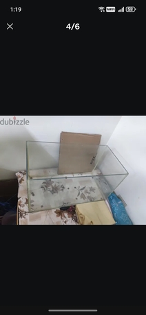 Al Khobar Al Shamalia, Pet Supplies, SAR 150,  Big Fish Tank + Accessories Like Stones, Plants Etc.