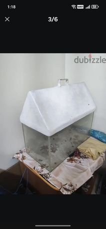 Al Khobar Al Shamalia, Pet Supplies, SAR 150,  Big Fish Tank + Accessories Like Stones, Plants Etc.