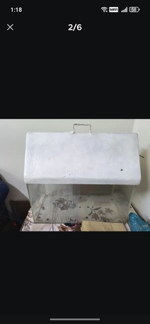Al Khobar Al Shamalia, Pet Supplies, SAR 150,  Big Fish Tank + Accessories Like Stones, Plants Etc.