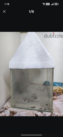Al Khobar Al Shamalia, Pet Supplies, SAR 150,  Big Fish Tank + Accessories Like Stones, Plants Etc.