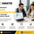 Professional Payroll Consulting Services For Accurate Business Payroll