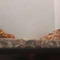 SAR 400/month,  3 Bed Spaces For Rent - Only Pakistani