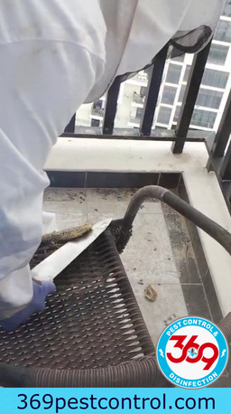 Dubai, Pest Control, Low Cost Commercial Pest Control Dubai | Office, Restaurant & Warehouse Pest Control