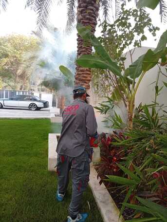 Dubai, Pest Control, Low Cost Commercial Pest Control Dubai | Office, Restaurant & Warehouse Pest Control