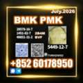 USD 170,  BMK CAS 5449-12-7 Chemical Stock Available