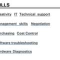 Inventory Controller And IT Technician