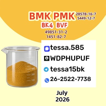 Hong Kong, Free Items, CNY 50,  CAS 5449-12-7 BMK Glycidic Acid (Sodium Salt) Bulk Powder Supplier