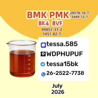 Hong Kong, Free Items, CNY 50,  CAS 5449-12-7 BMK Glycidic Acid (Sodium Salt) Bulk Powder Supplier