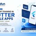 Internship Training In Flutter Mobile Apps With Expert Mentors