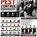 🛡️ SAFE & RELIABLE PEST REMOVAL SOLUTIONS 🛡️  🐜 Fast • Effective • Guaranteed Results