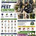 🚫🐜 STOP PESTS TODAY! 🚫 🛡️ Safe & Reliable Pest Removal Solutions 🏠✨ 💯 100% Guarantee