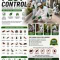 🚨🪳 GET RID OF PESTS TODAY! 🚨 🛡️ Safe & Reliable Pest Removal Solutions 🐜 Cockroaches
