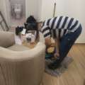 1.profeesionl Sofa And Home Deep Clean Service With Best 0563416917