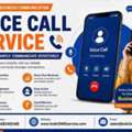 Professional Voice Call Service For Fast Business Communication