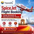 SpiceJet Flight Booking &ndash; Cheap Domestic & International Tickets | Tripnestify