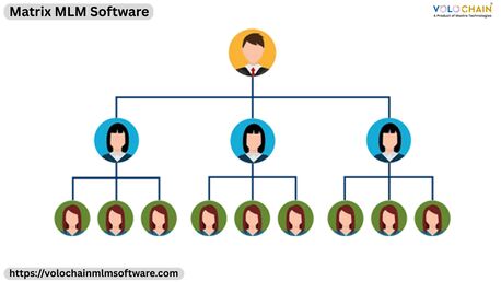 Noida, Software Development, Intelligent MLM Matrix Software For Effective Business Growth