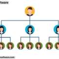 Intelligent MLM Matrix Software For Effective Business Growth