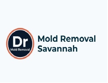 New York, Cleaning, Dr Mold Removal Savannah
