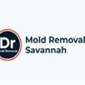 Dr Mold Removal Savannah