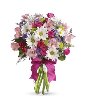New York, Businesses For Sale, Send Gerbera Daisies | Gifts And Petals Petal Paradise