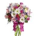 Send Gerbera Daisies | Gifts And Petals Petal Paradise