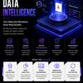 Data Intelligence Company In USA | The Baap Company