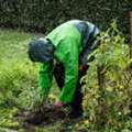 TOP CONTRACTORS & DEVELOPMENT SERVICES