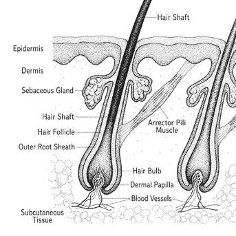 Pune, Guest Posting, Alopecia Symptoms Getting Worse? Don