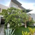 BHD 1300,  Modern Compound Villa For Rent In Saar | Near Saar Mall | Family-Friendly Community