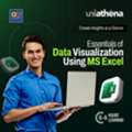 Turn Data Into Meaningful Visual Insights | UniAthena