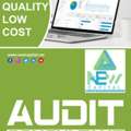 Financial Auditor Consultant
