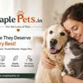 Shop International Pet Brands In India