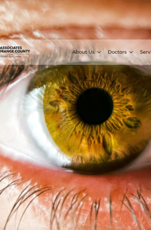 New York, Health, LASIK & Retina Specialists For Advanced Vision Care | EyeOC