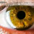 LASIK & Retina Specialists For Advanced Vision Care | EyeOC
