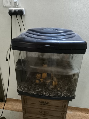 Riyadh, Pet Supplies, SAR 175,  Fish Aquarium With Fish And All Accessories