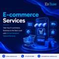 Take Your E-commerce Business To The Next Level With EnFuse Solutions&rsquo; Tailored Services
