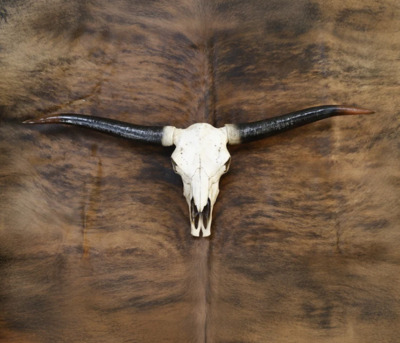 Mumbai, Collectibles, INR 12999,  Animal Head Wall Decor