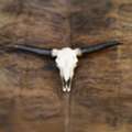 INR 12999,  Animal Head Wall Decor