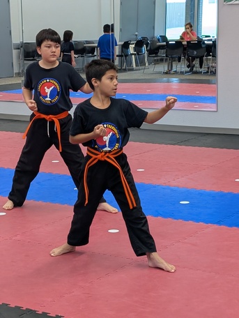 New York, Education, Enroll In Discipline Classes For Kids In Webster TX