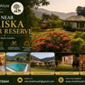 Book A Resort Near Sariska Tiger Reserve For Your Next Escape