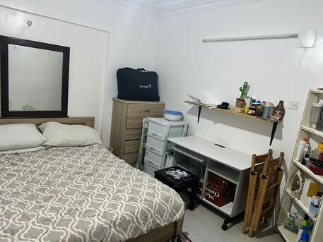 Riyadh, Pet Sitting, Best Cat Boarding In Riyadh | Air-Conditioned Cat Hotel & Professional Pet Care