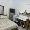 Best Cat Boarding In Riyadh | Air-Conditioned Cat Hotel & Professional Pet Care