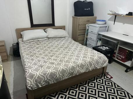 Riyadh, Pet Sitting, Best Cat Boarding In Riyadh | Air-Conditioned Cat Hotel & Professional Pet Care