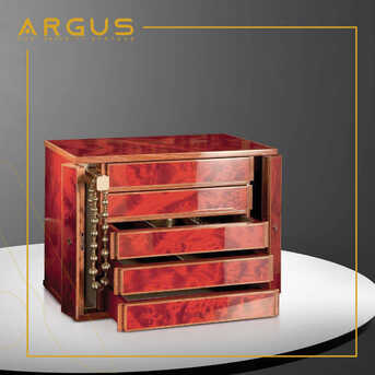 Dubai, Security, Argus Security Systems