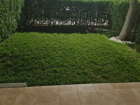 Kuwait City, Villas, KWD 2500,  Modern Villa With Pool And Garden For Rent In Hatten
