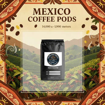 San Francisco, Food, USD 20,  Shop Single Origin Coffee Beans Online In USA For Fresh, Premium Coffee