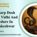 Kaal Sarp Dosh Nivaran Vidhi And Procedure In Trimbakeshwar