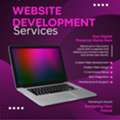 Web Designing In Florida | Responsive, Fast & SEO-Friendly Websites